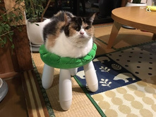 ��-��, ��-�� �������� ...