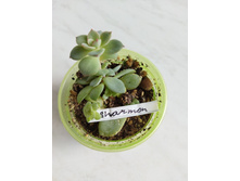 IMG 20220328 123657.jpg