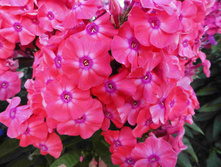 ����� ����������� ������.jpg