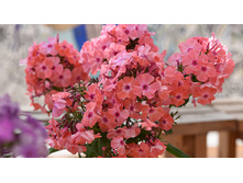 ����� ����������� ������� ����.jpg