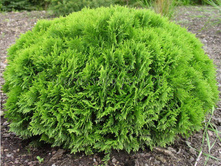 ��� ������.jpg