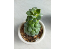 IMG 20220328 124300.jpg