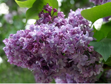 ������ ��������.jpg