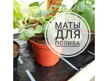 ���������� ��� ��� ������