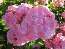 ����� ����������� ����� �����.jpg