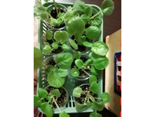 ����� ������ .jpg