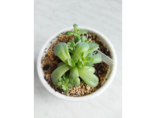 IMG 20220328 123850.jpg