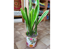 IMG 20220328 124644.jpg