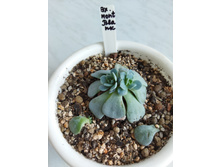 IMG 20220328 122307.jpg