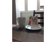 �� � ��� ���� �������? ������ ��� ��� ���!