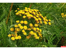 ����� ������������ �������.jpg