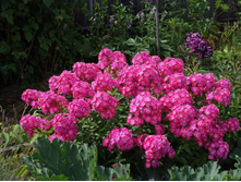 ����� ����������� ������ ��������.jpg