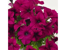 20 ������� ����������� ������� 360 ��������