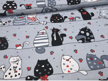 ���� ����� � �������� ����������.jpg