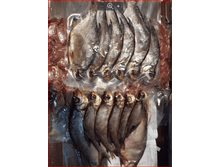 ����� ����. ������� ���������.PNG