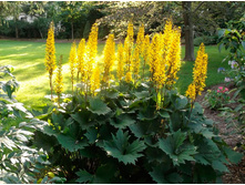 ��������� ������������� ������.jpg