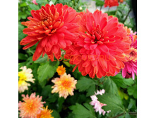 ���������� ��������� �����.jpg