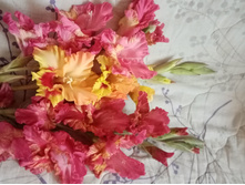 ����� (����� ����� ������)