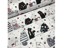 ���� �-� � �������� ����������.jpg