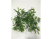 39.00 ���./��. 2535 ����� �������� �������, �������