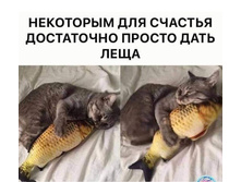 ��������� ��� ������� ���������� ������ ���� ����