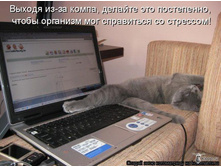 ������ ��-�� �����, ������� ��� ����������, ����� �������� ��� ��������� �� ��������!