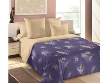 ����� ������ 2 ������� 220 �� ������+���������