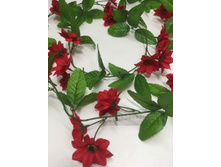 219.00 ���./��. 2105 �������� � ���������� 3 ��