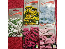 IMG 20220406 141427.jpg