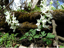 �������� ��������.jpg