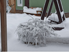 256400529-izobrazenie viber 2021-12-18 17-47-04-491.jpg