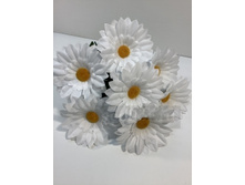 99.00 ���./��. 3049 ����� ������� �����, 7 �, (�� ������)