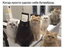 ����� ������ ������ ���� ��������� ...