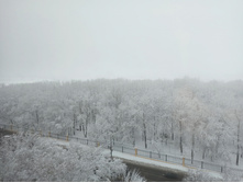 256387380- dlaerhrcxa.jpg