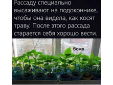 ������� ���������� ���������� �� �����������, ����� ��� ������, ��� ����� �����. ����� ����� ������� ��������� ���� ������ �����.