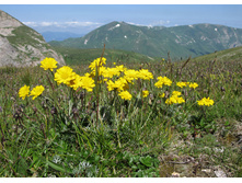 ������� ����������.jpg