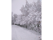 256383815-img 20211217 080859.jpg