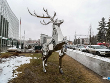 A045c0be5d3ba35db7d31858b93cf2d060c3b2e8 727 485 c.jpg.webp-portal.jpg