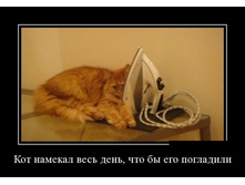 ��� ������� ���� ����� ����� ��� ���������