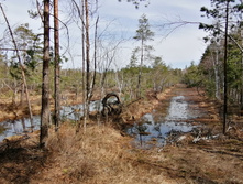 IMG 20220423 111353.jpg