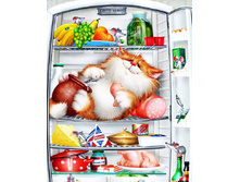 � ���������� �����!