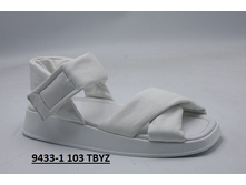2580 ���