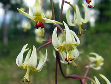 ��������� ���������.jpg