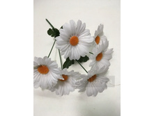 39.00 ���./��. 2281 ����� ������� �����, 6 �