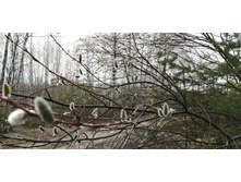 IMG 20220423 103311.jpg