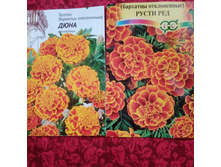 �������� �����������