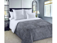 ������������ ������ 1 ������� 220 �� ������+���������