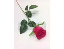 25.00 ���./��. 2099 ��������� ���� �����