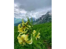 ����� ������������.jpg