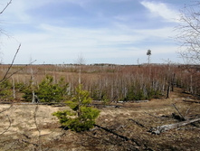 IMG 20220423 121542.jpg